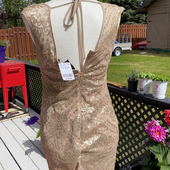 Sparkly Beige Le Chateau Dress - Picture 3 of 3
